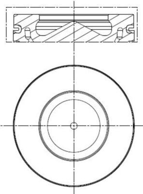 Piston + Segman