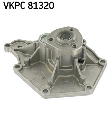 Su Pompası Vkpc 81320