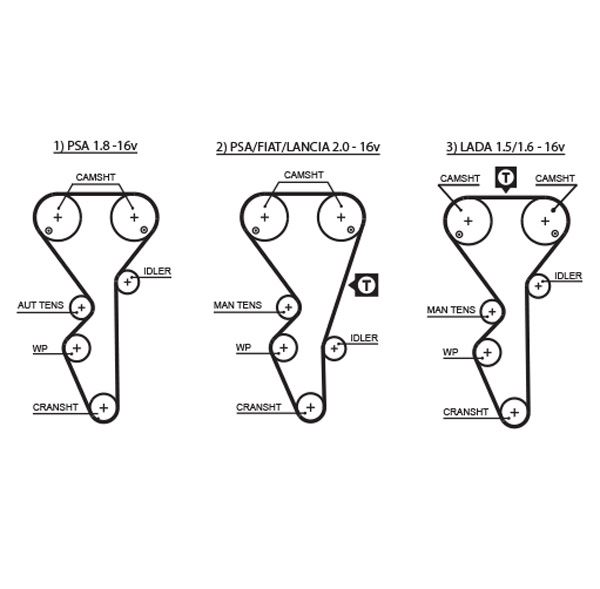 (x) TRİGER KAYIŞI (136x254) CITROEN XANTIA XSARA ZX PEUGEOT 306 406 605 806 1.8-2.0 16V LANCIA CT95