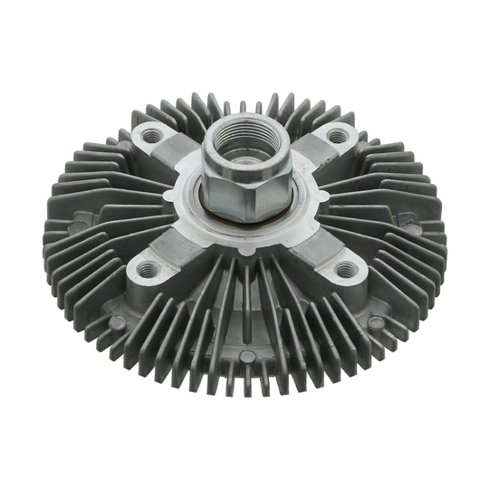 Fan Termigi