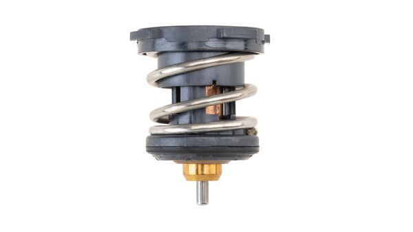 Termostat Thermostat Insert