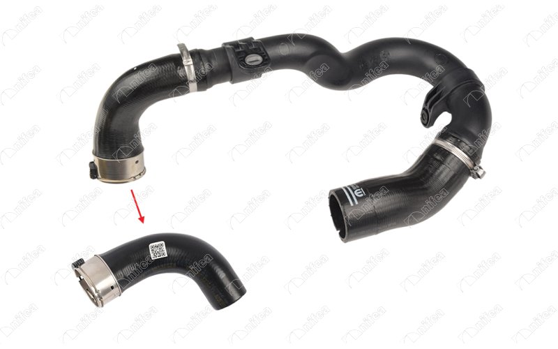 Turbo Borusu