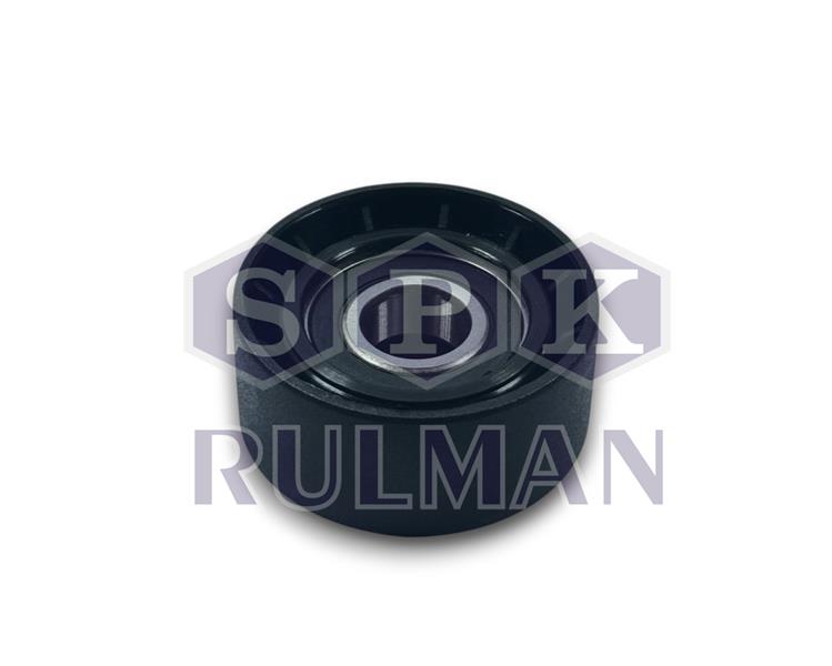 Alternatör Gergi Rulmanı