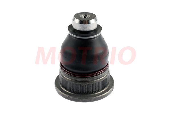 Motrio Rotil