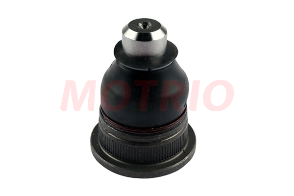 Motrio Rotil
