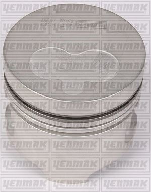 MOTOR PİSTON+SEGMAN R19-CLIO 1.9 DZL F8Q (80.00 ÇAP) STD