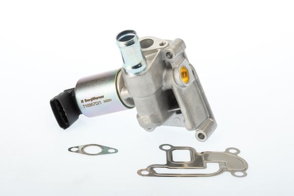 Egr Valfi