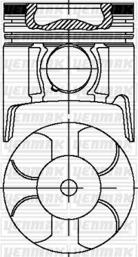 Motor Piston+segman Std