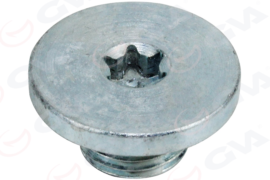 Motor Yağ Karter Tapası
