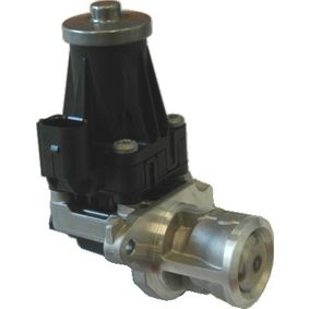 Egr Valfi