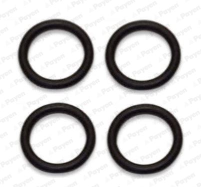 Emme Manifold Contası P107-P206-P307-BIPPER-NEMO-C...