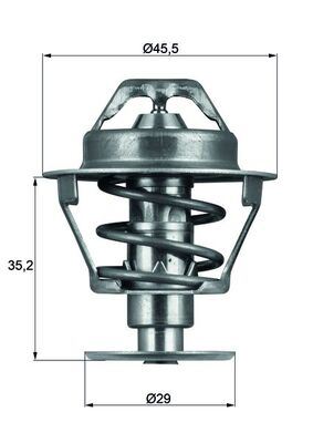 Termostat (89C) P106-SAXO 1.5 Dzl.