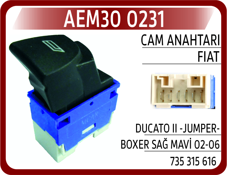 Cam Anahtarı