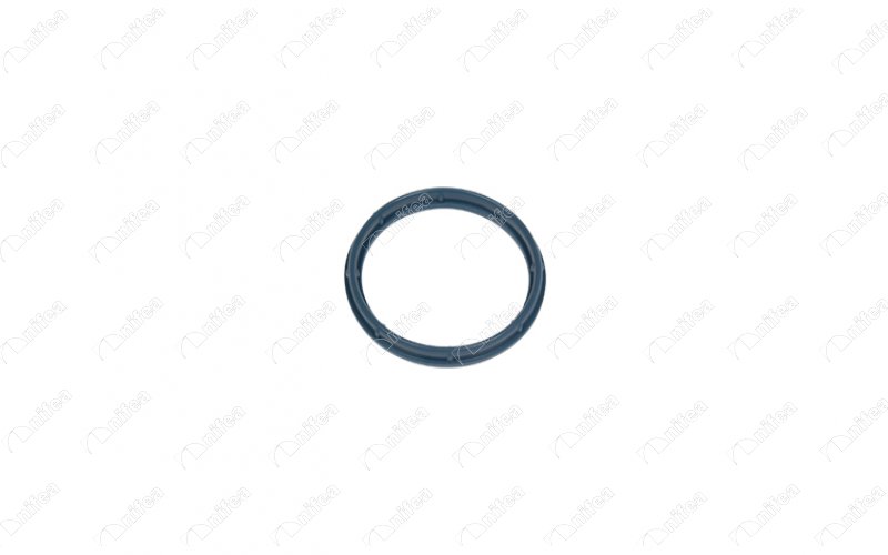 Emme Manifold Boğaz Conta Ford-fiat-peugeot-citroe...
