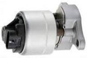 Egr Valfi