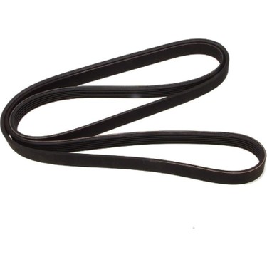 Drive Belt