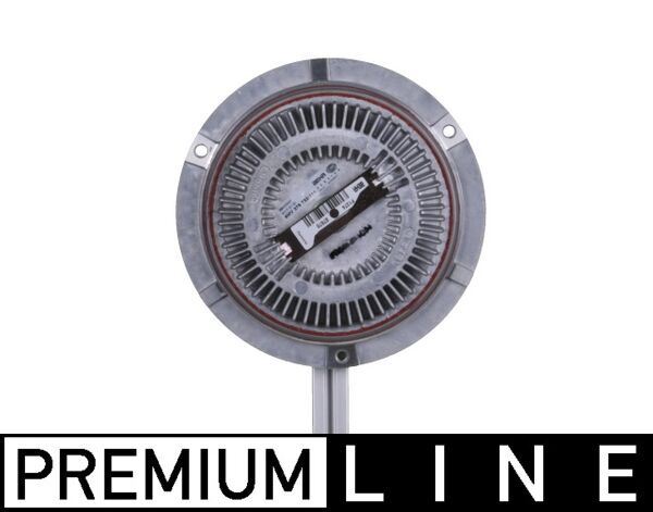 Fan Termigi