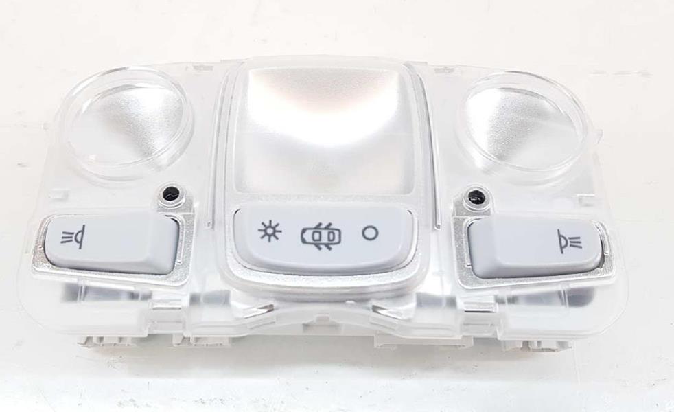 Tavan Lambası P208-P308-P3008-P5008-C4 Cactus-pica...