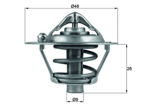 Termostat (82°C) Tek