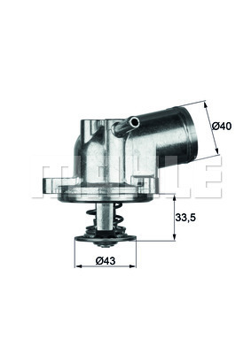 Thermostat. Integral