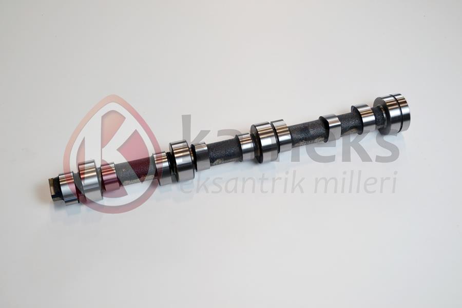 Eksantrik Mili 2.0 20N-20S Cih (Döküm)