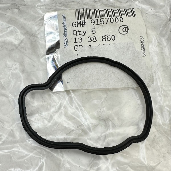 Termostat Oringi