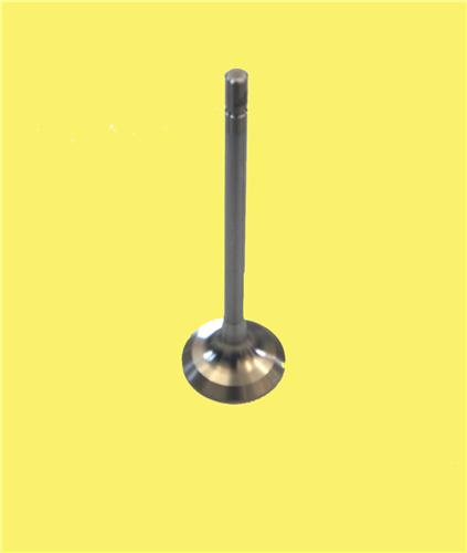 Subap Emme+egzoz Mgn 2.0 16V (F4 Motor)