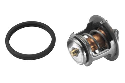 Termostat (76C) Nissan-mazda (54.5x31.5x28)