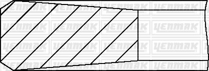 Motor Segmanı Std (75.00 Mm) Peugeot-ford 1.6 Hdi