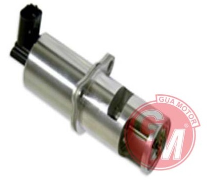Egr Valfi