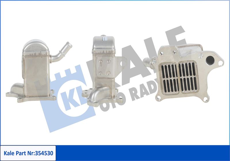 EGR VALFİ RENAULT MEGANE III 09> SCENIC III 09> 1.9dCi