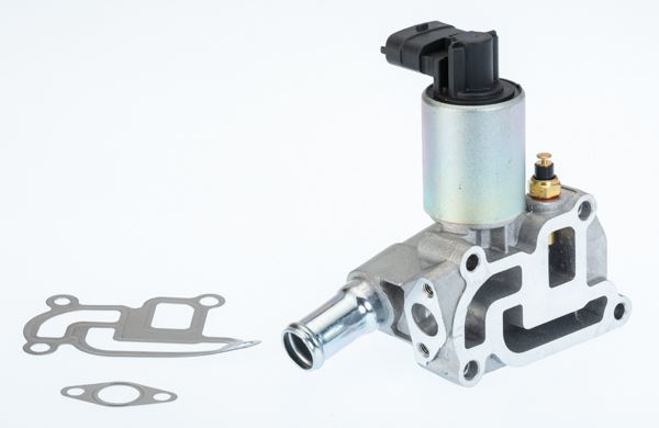 Egr Valfi