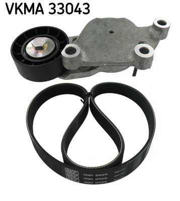 Alternatör Gergi Rulmanı Kit (Kütüklü) P206 1.6HDI...