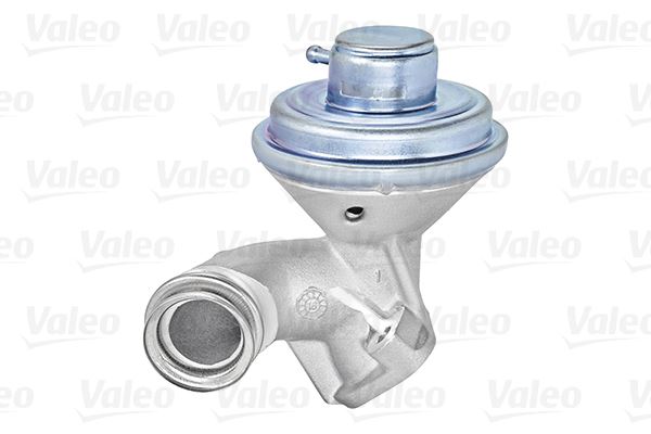 Egr Valfi