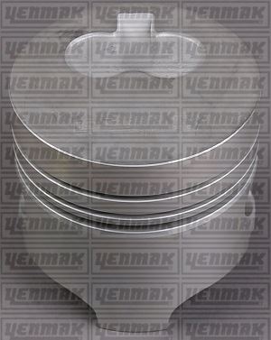 MOTOR PİSTON+SEGMAN (STD) (80.00 ÇAP) KANGOO-EXPRESS-R19 1.9 DİZEL F8Q ÇUKURLU