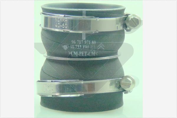 Turbo Hortumu Partner-partner TEPEE-1007-207-CITRO...