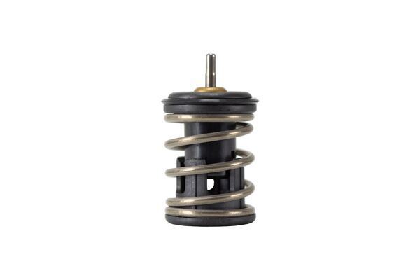 Thermostat. Coolant