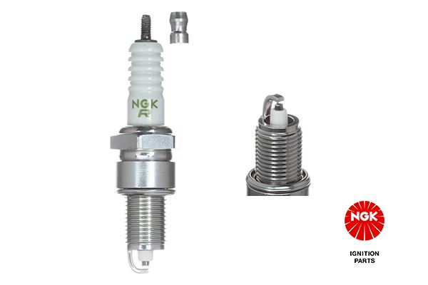 ZGR5A-BUJİ WR8LC+