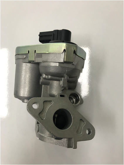 Egr Valfi