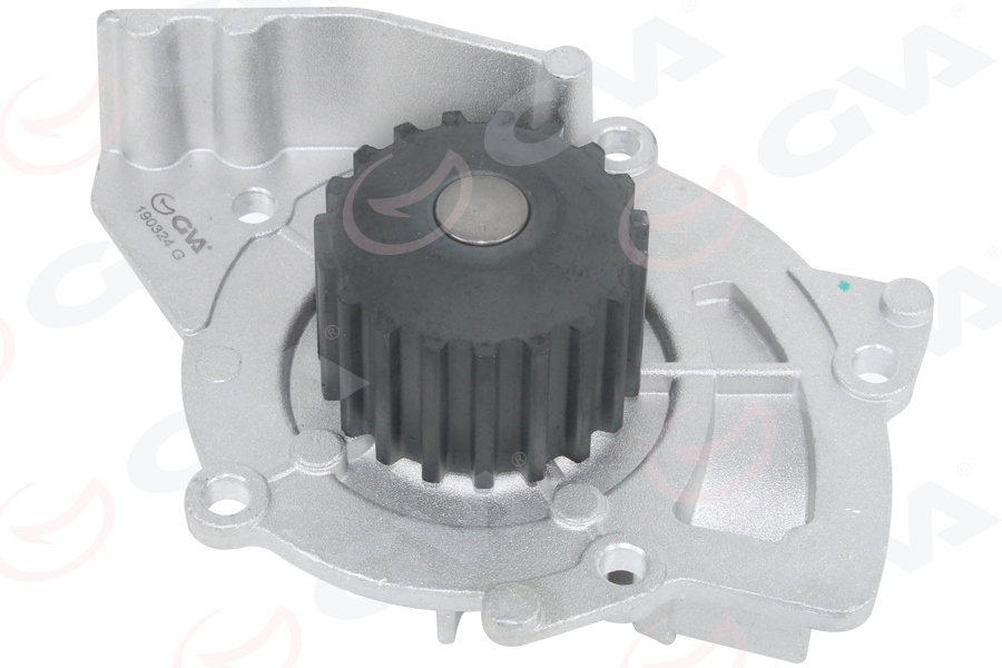 Devirdaim Psa/ford 407-C5