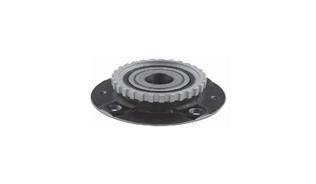 (X) Arka Teker Rulmanı XSARA-ZX-P205-P306 Abs'li