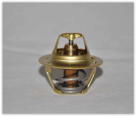Termostat (82°C) Tek