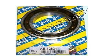 Defransiyel Rulmanı Küçük R9-R11-SAXO-P106 I-ii-lo...