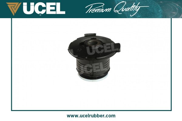 MOTOR BESIK BURCU R21 TXE D.