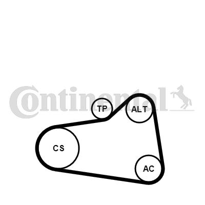 Alternatör Gergi Kiti P207-P208-P308-P508-RZC-P200...