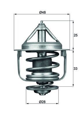 Termostat