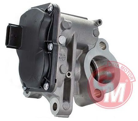 EGR VALFI MERCEDES OM626 OM622 W205 W447 . RENAULT R9M 1.6 dCi MEGANE TRAFIC KADJAR TALISMAN