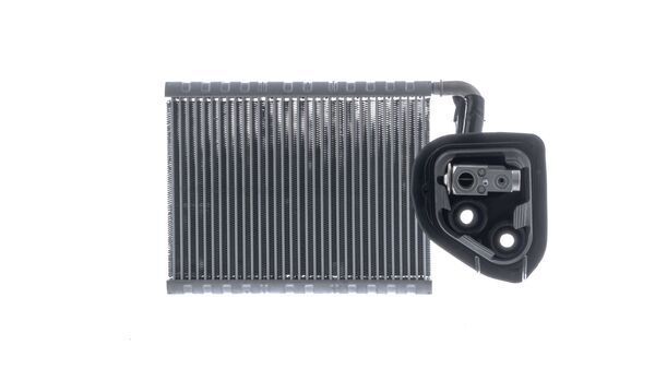 Evaporator