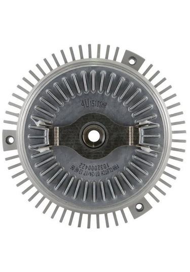Fan Termigi