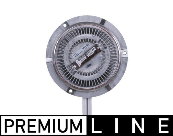 Fan Termigi